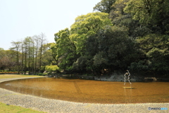 水辺のオブジェ