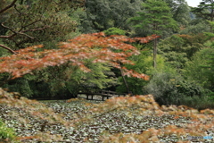秋の始まり