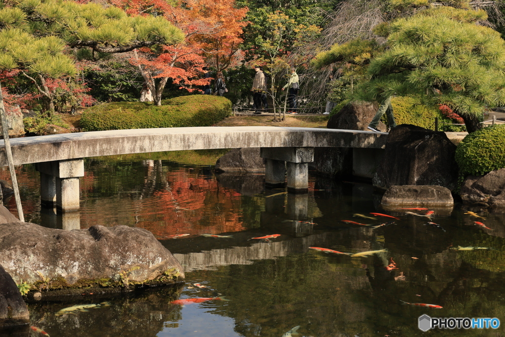 晩秋の好古園12