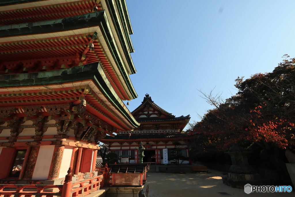 2025四国一人旅5-2