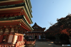 2025四国一人旅5-2