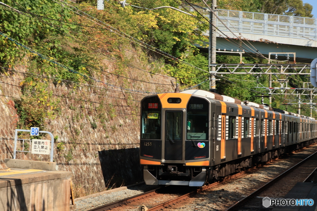 シーサイドエクスプレス