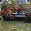 晩秋の相楽園11