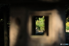 2025四国一人旅4-4