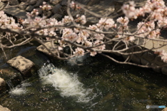川の流れを