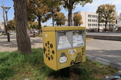 特殊能力なの？