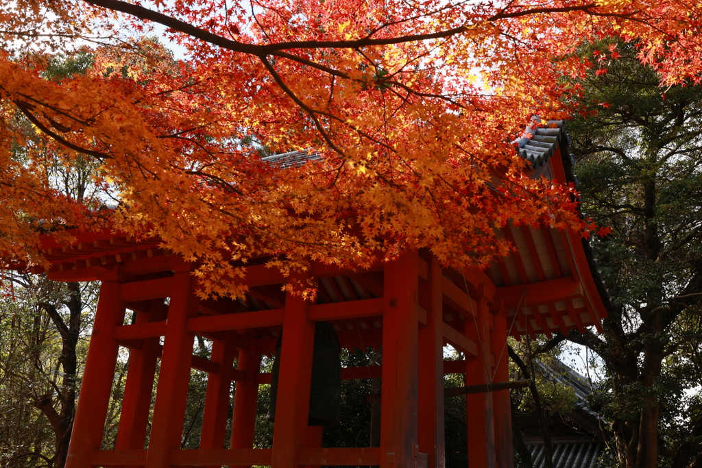 初冬の太山寺19