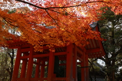初冬の太山寺19