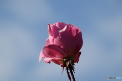 ①レンズ比較  18-400