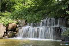 手持ちで滝