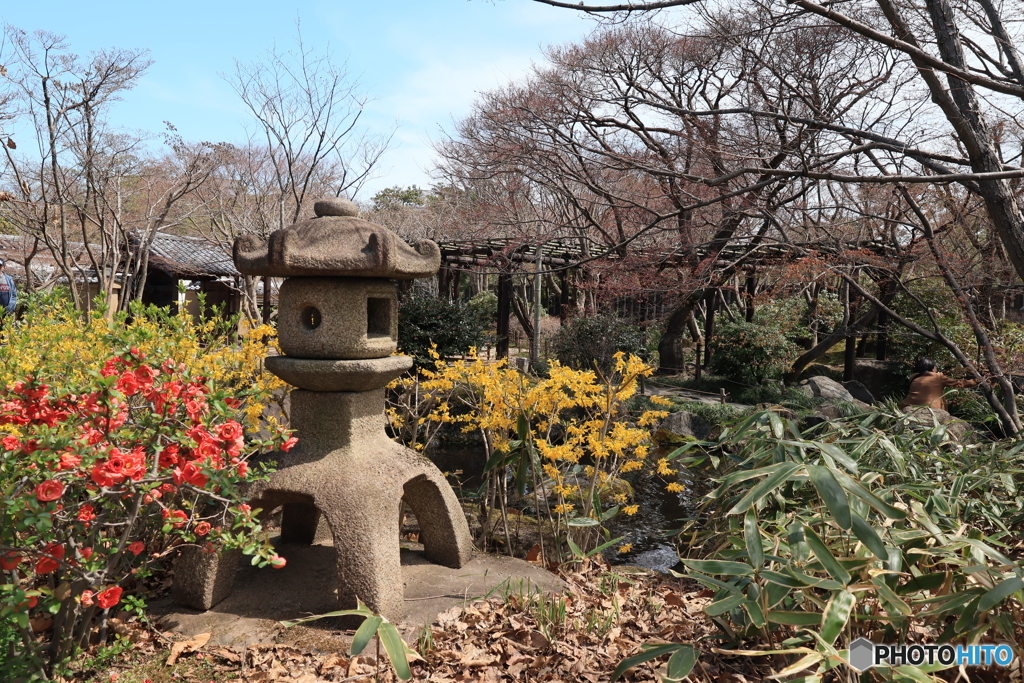 3/31好古園13