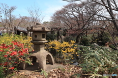 3/31好古園13