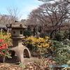 3/31好古園13