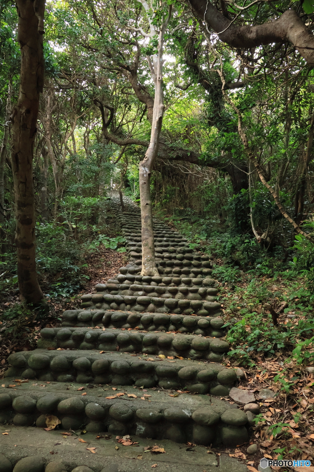 2025四国一人旅3-15