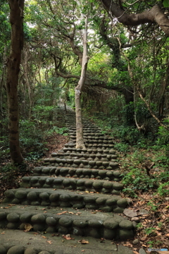 2025四国一人旅3-15