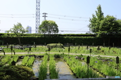 また来年に