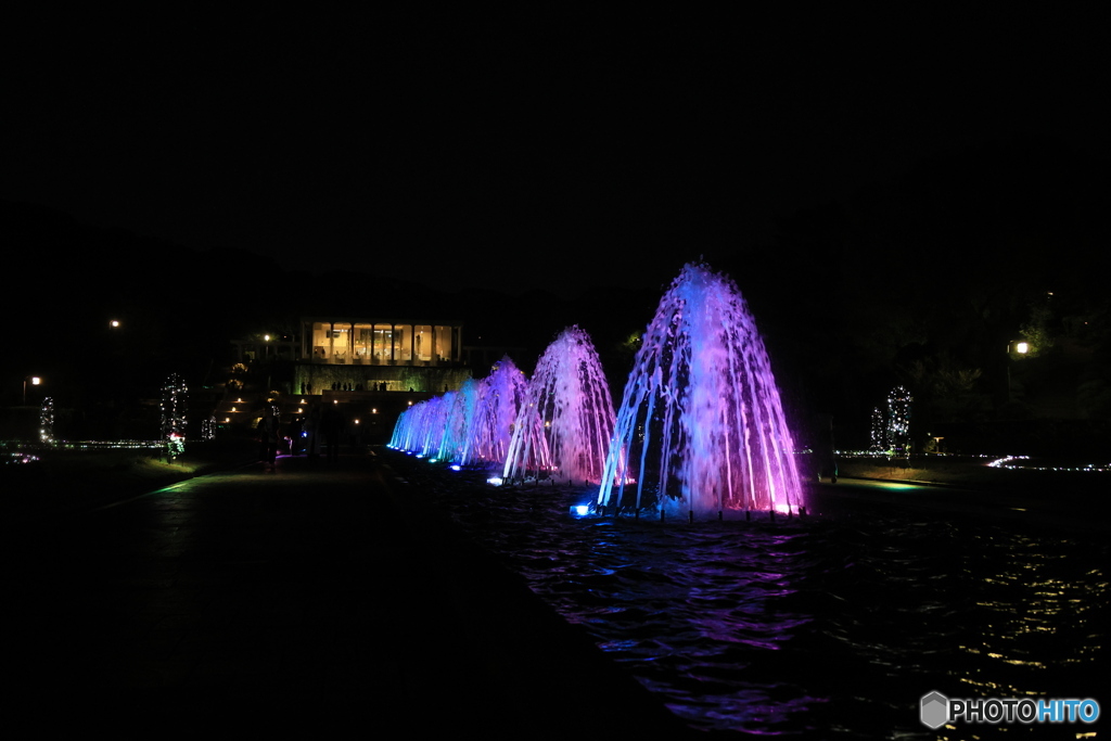 離宮公園ライトアップ8