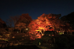 離宮公園ライトアップ6