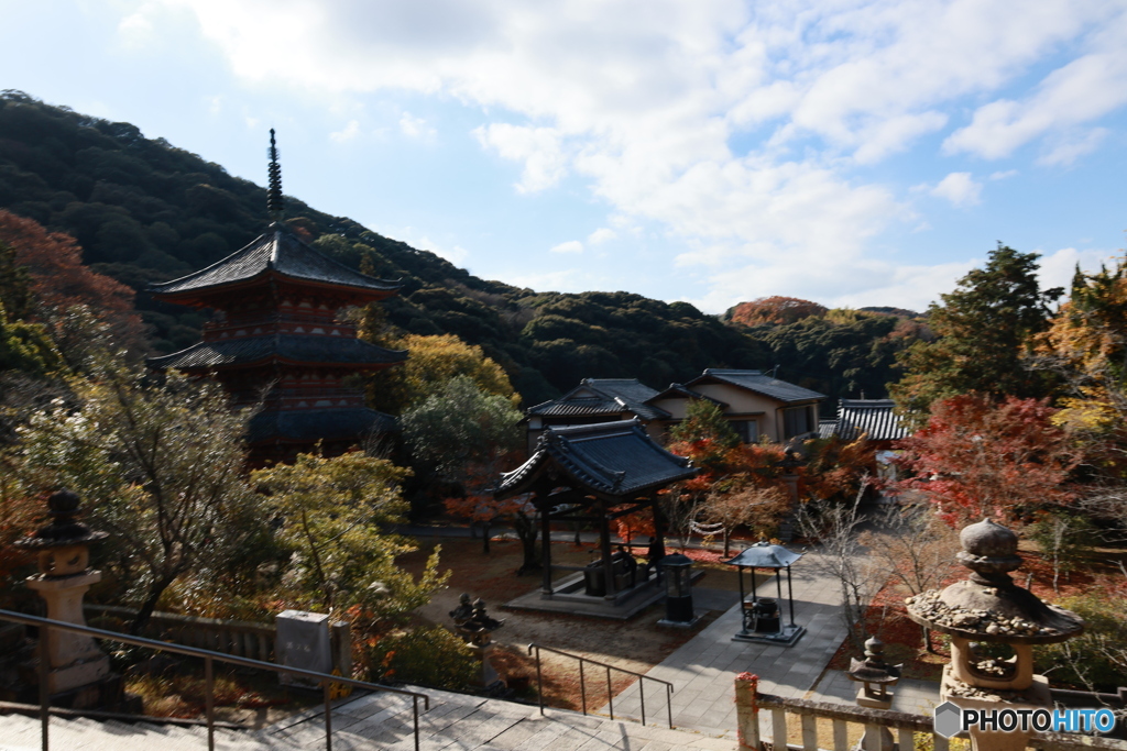 初冬の太山寺16