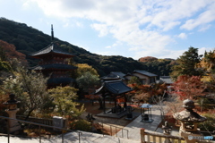 初冬の太山寺16