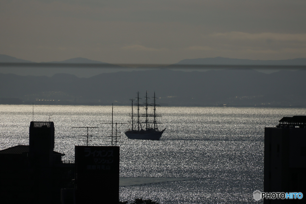 ②レンズ比較 16-300