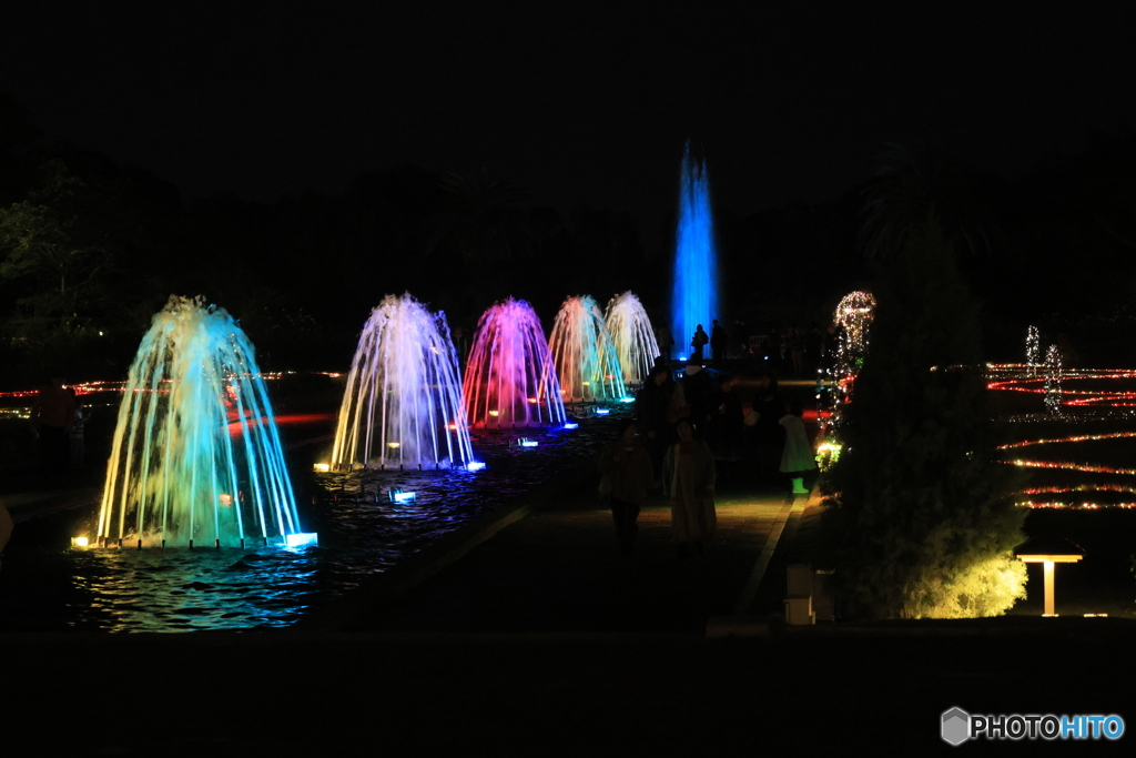 離宮公園ライトアップ9