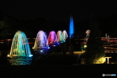 離宮公園ライトアップ9