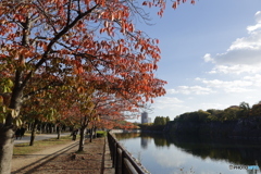 大阪城公園