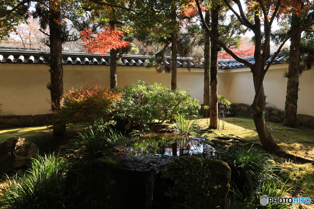 晩秋の好古園2