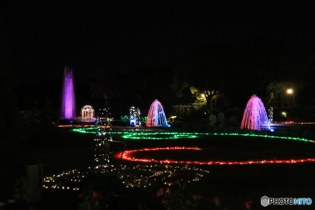 離宮公園ライトアップ13