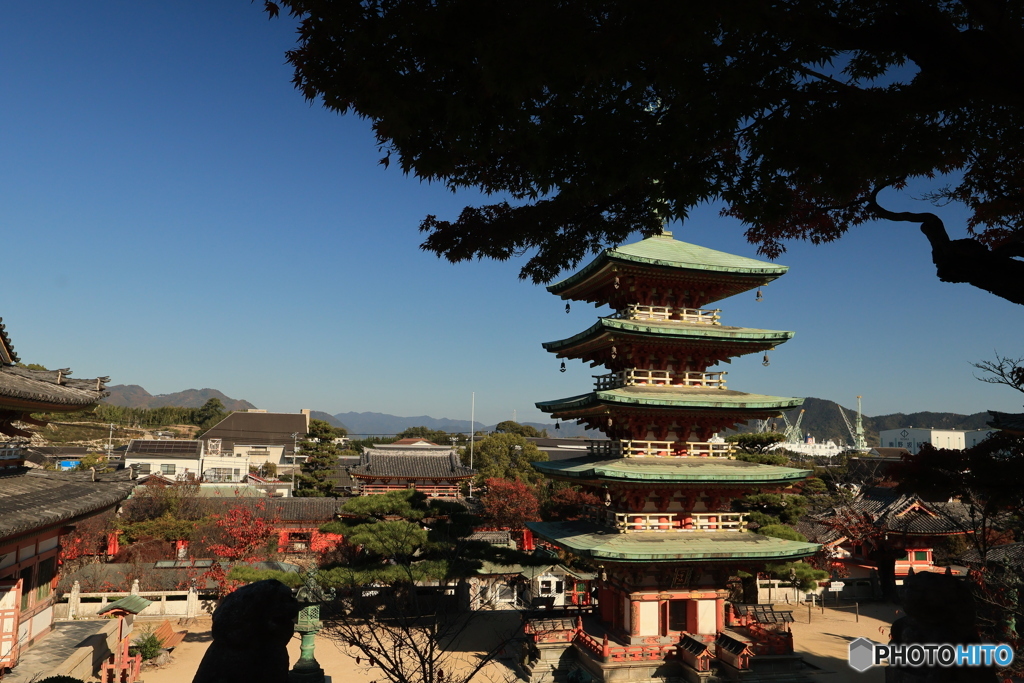 2025四国一人旅5-3