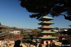 2025四国一人旅5-3