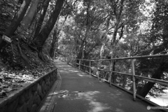 上り坂