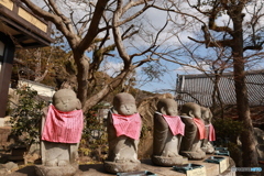 癒しです