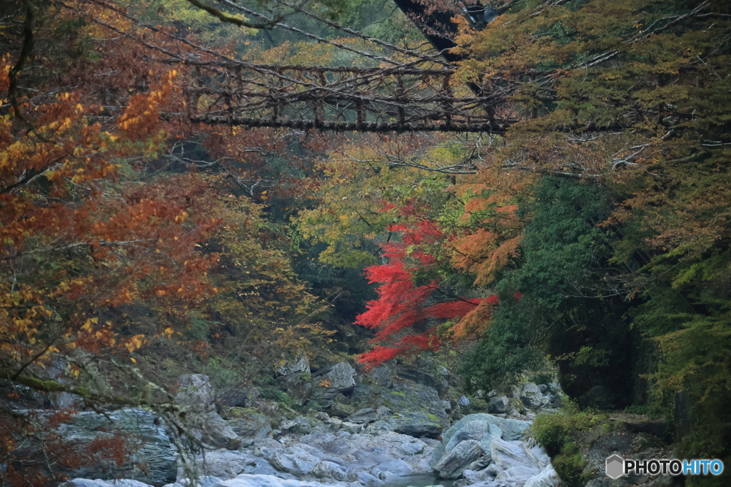 2025四国一人旅2-6