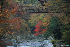 2025四国一人旅2-6