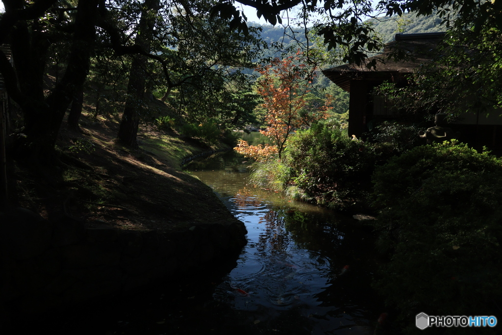 2025四国一人旅15