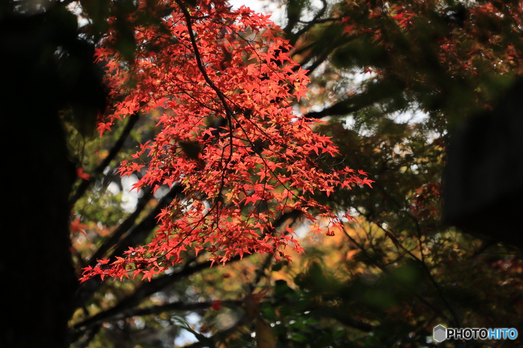 2025四国一人旅4-20