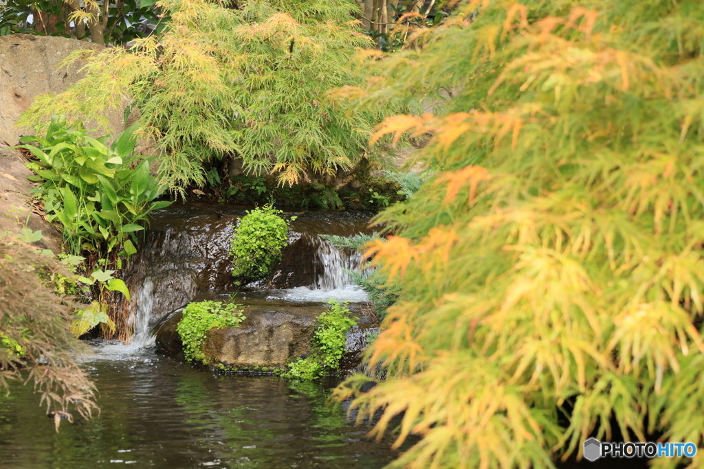 晩秋の好古園32