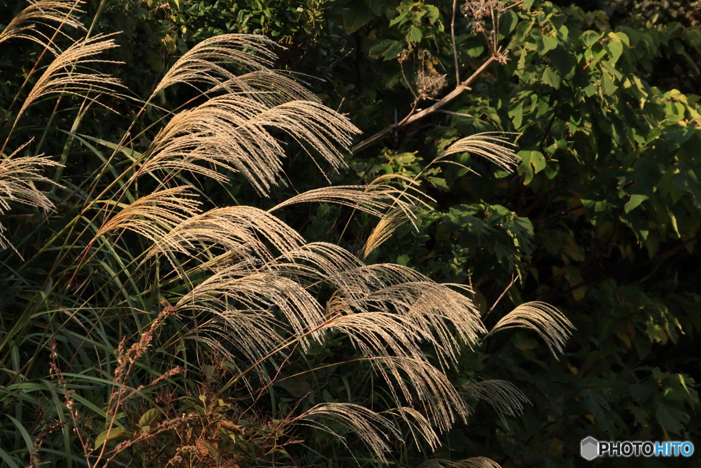 2025四国一人旅6-15