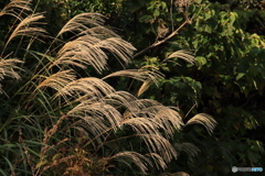 2025四国一人旅6-15