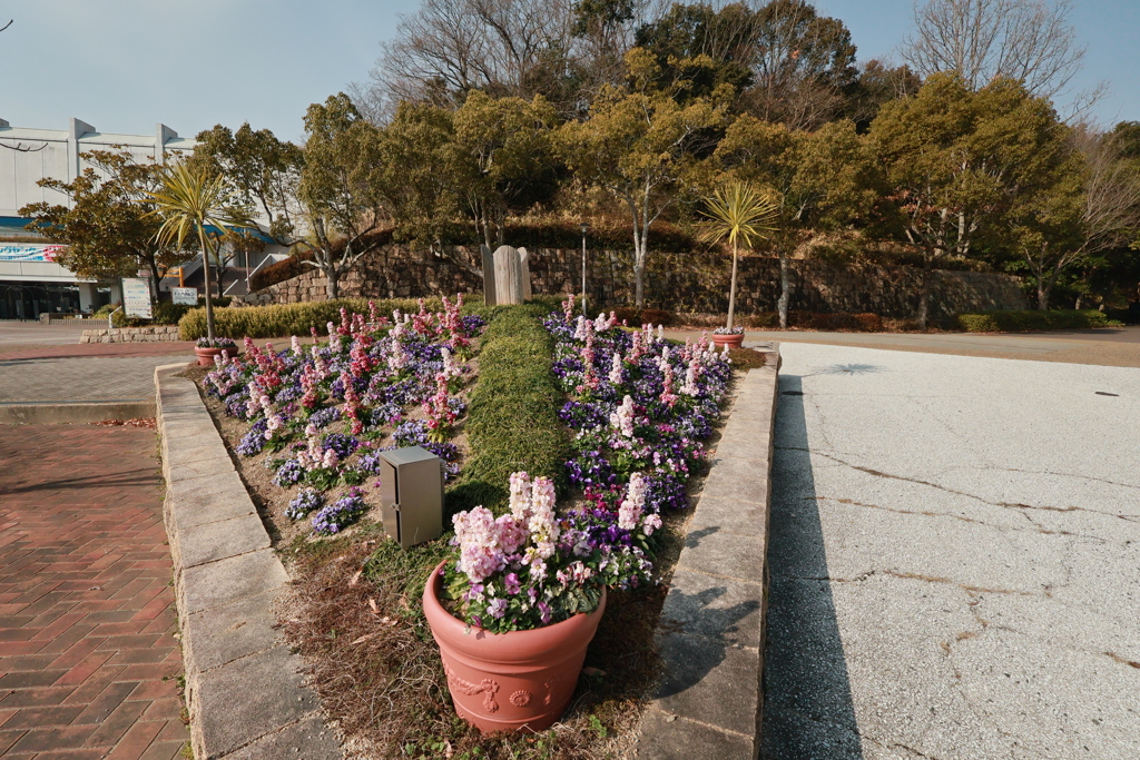 総合運動公園