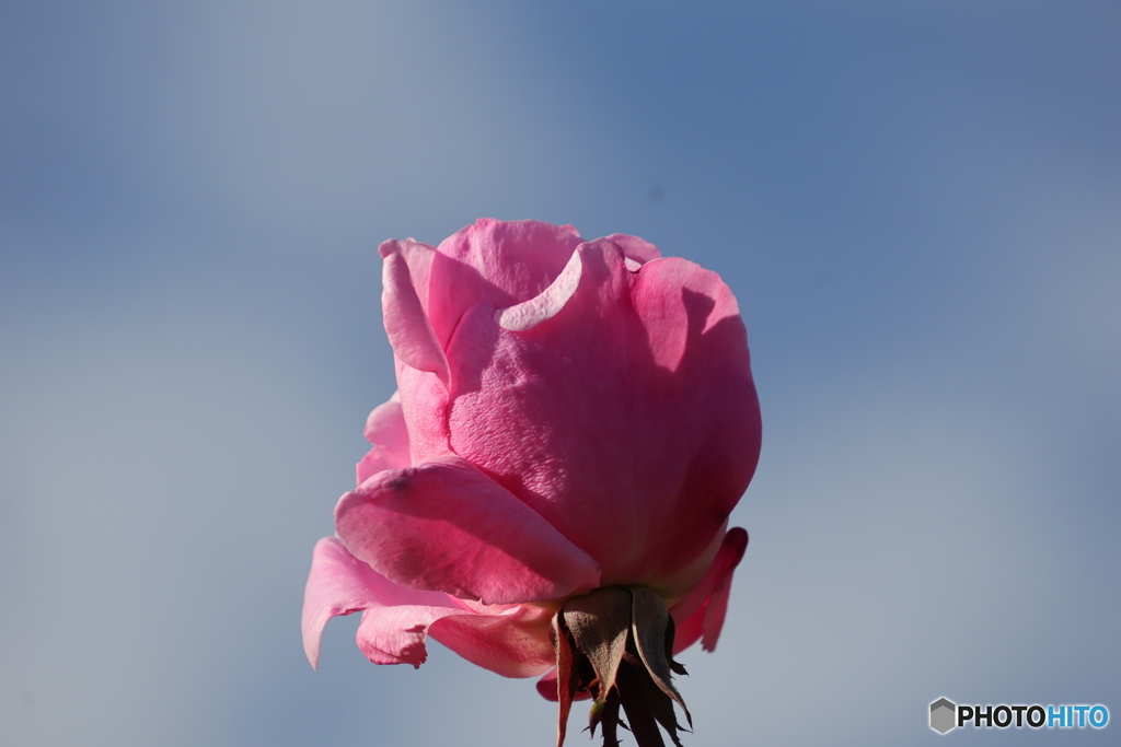 ①レンズ比較 16-300