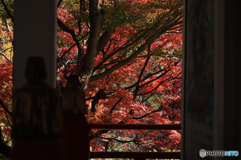 2025四国一人旅5-16