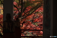 2025四国一人旅5-16