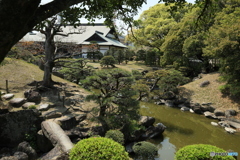 庭園から