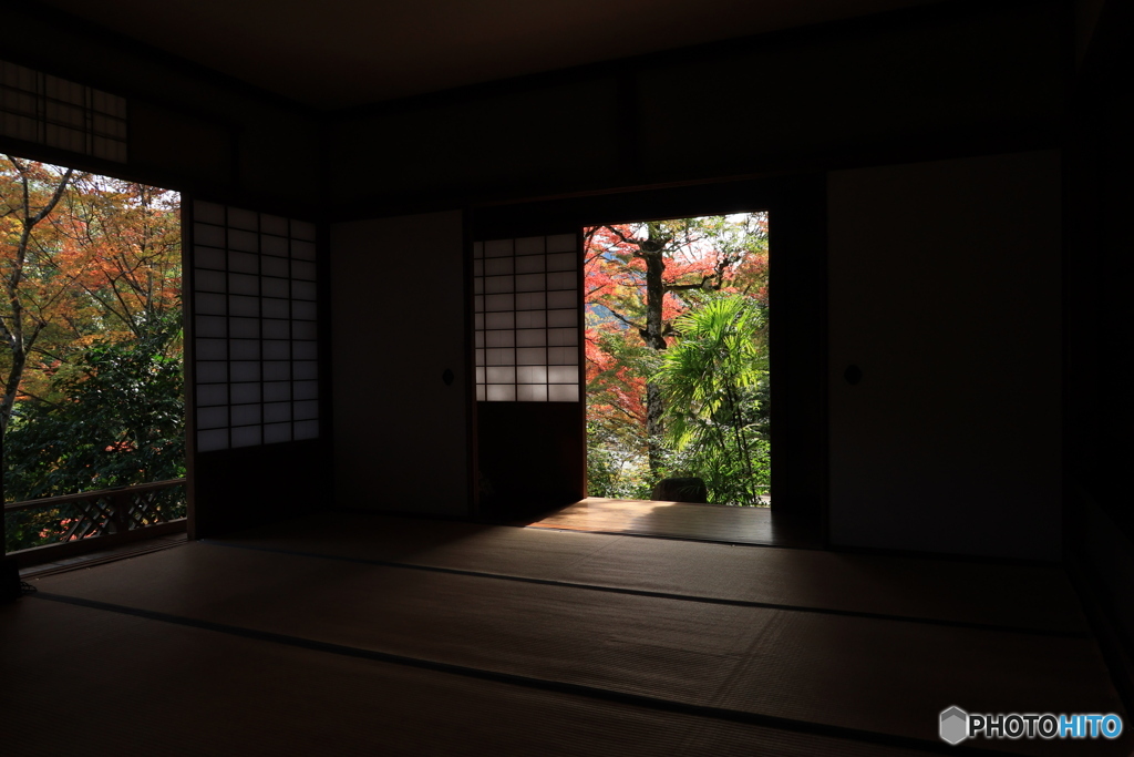 2025四国一人旅4-21