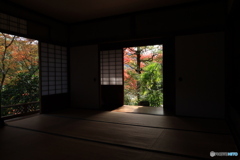 2025四国一人旅4-21