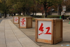 晩秋の好古園35