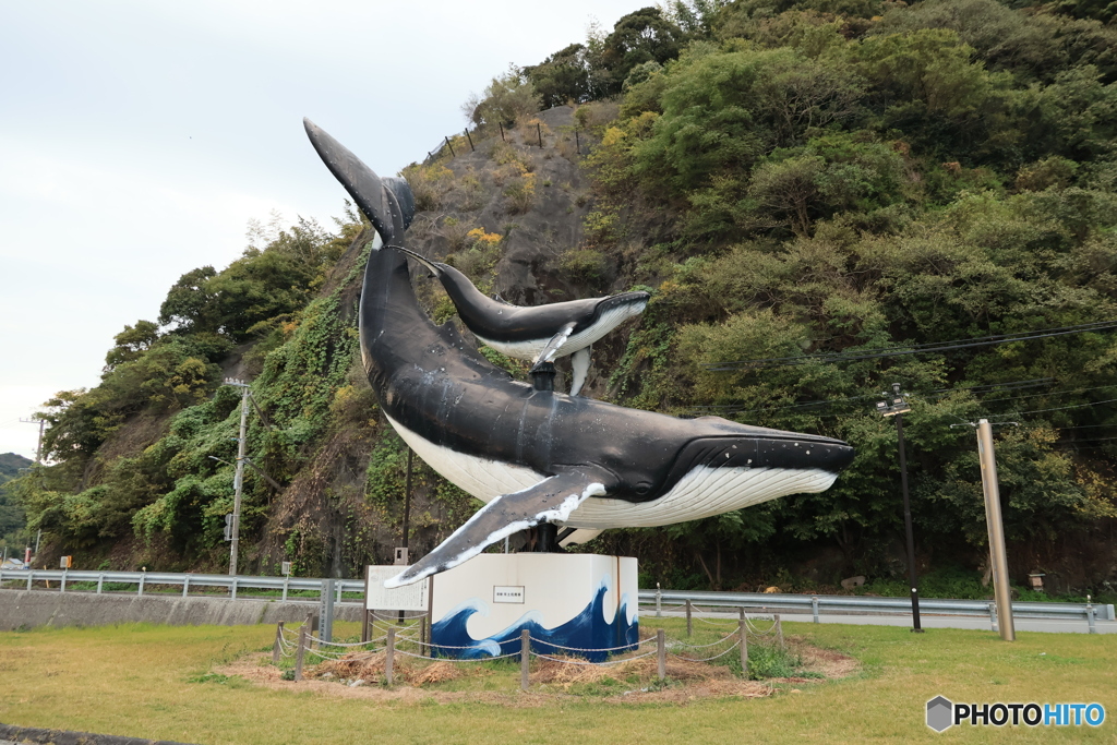 2025四国一人旅2-23